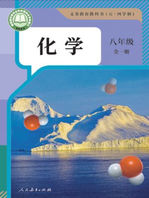 人教版八年级化学全一册(2024版)