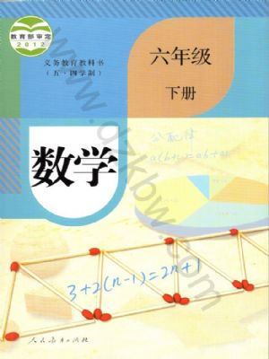 人教版六年级数学下册